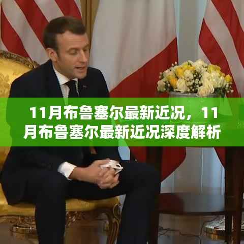 深度解析布鲁塞尔最新动态,聚焦XX观点