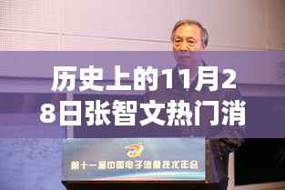 揭秘历史上的张智文热门消息,揭秘11月28日的那些事儿