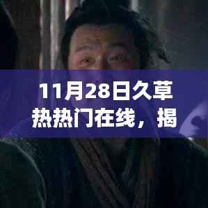 关于网络时代情感现象的探讨,久草热涉黄问题的揭秘与讨论