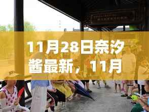 11月28日奈汐酱最新动态,多维度观点下的深度探析