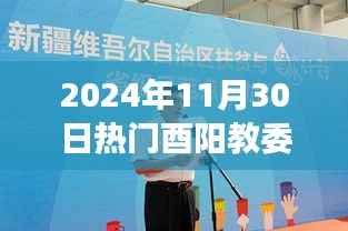 2024年11月30日热门酉阳教委主任任免,励志前行,酉阳教委主任任免背后的学习与成长力量