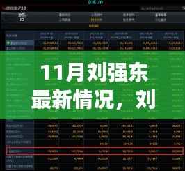 11月刘强东最新情况,刘强东最新动态深度解析,产品特性、使用体验与目标用户群体洞察