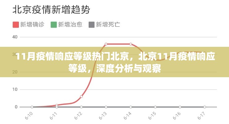 11月疫情响应等级热门北京，北京11月疫情响应等级，深度分析与观察