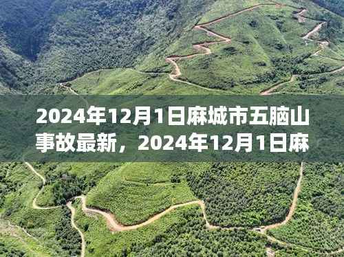 麻城市五脑山事故最新进展全面解析(截至2024年12月1日)