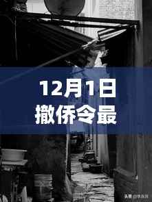 揭秘撤侨令最新背后的故事,小巷深处独特小店的撤侨历程