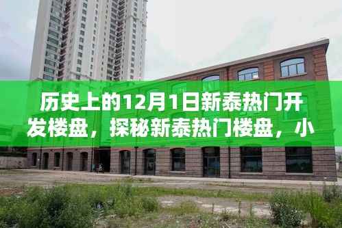 探秘新泰热门楼盘,历史印记下的独特风情与最新开发楼盘揭秘(12月1日)