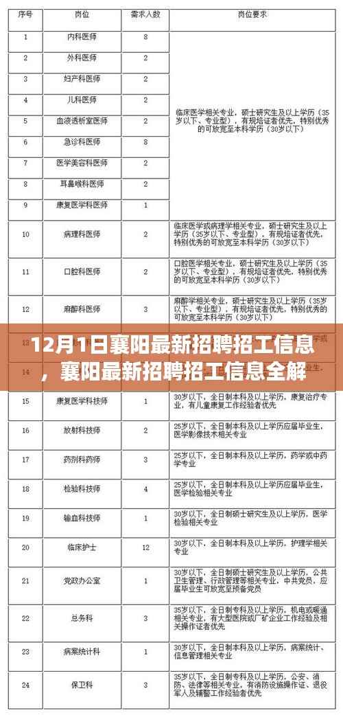 12月1日襄阳最新招聘招工信息全解析,零基础如何快速求职成功
