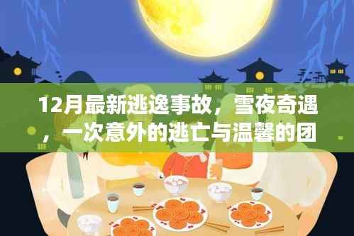 雪夜逃亡与温馨团聚,最新逃逸事故揭秘