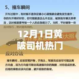 12月1日黄陂司机热门招聘信息汇总,行业分析与求职指南