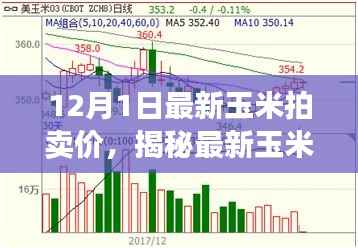 揭秘最新玉米拍卖行情,12月市场分析,最新玉米拍卖价公布