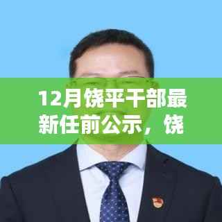 饶平干部最新任前公示详解,操作指南与流程揭秘