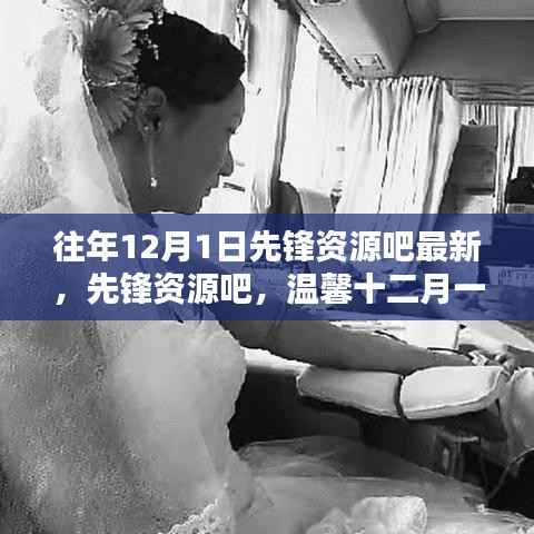 温馨回忆日,先锋资源吧十二月一日最新资讯回顾