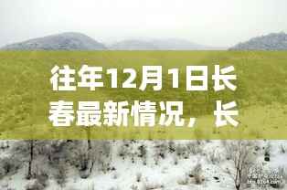 长春踏雪寻静日,12月1日的自然共舞纪实