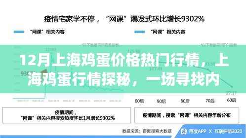 12月上海鸡蛋价格热门行情,上海鸡蛋行情探秘,一场寻找内心平静的鸡蛋之旅