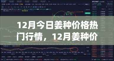 12月今日姜种价格热门行情,12月姜种价格行情解析与选购指南