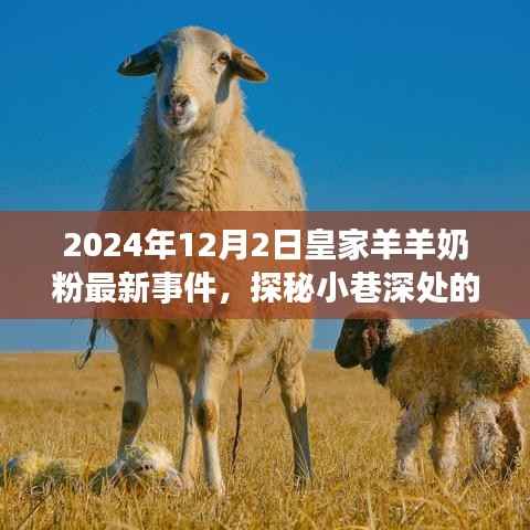 2024年12月2日皇家羊羊奶粉最新事件,探秘小巷深处的皇家羊羊奶粉故事,2024年12月2日的惊喜发现
