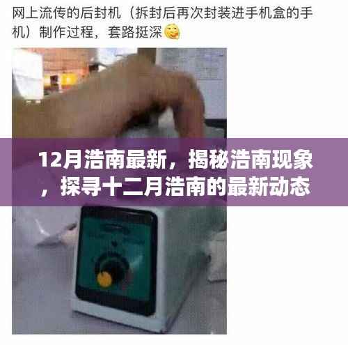 12月浩南最新,揭秘浩南现象,探寻十二月浩南的最新动态与成就