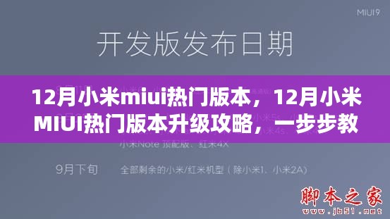 12月小米MIUI热门版本升级攻略,轻松更新操作指南