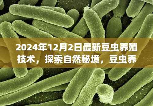 探索自然秘境,豆虫养殖新纪元——揭秘豆虫之旅的心灵启示与最新养殖技术(2024年)