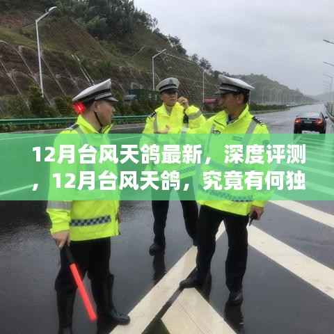 深度解析,台风天鸽的独特之处与最新动态