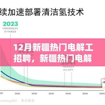12月新疆电解工招聘指南,求职全攻略