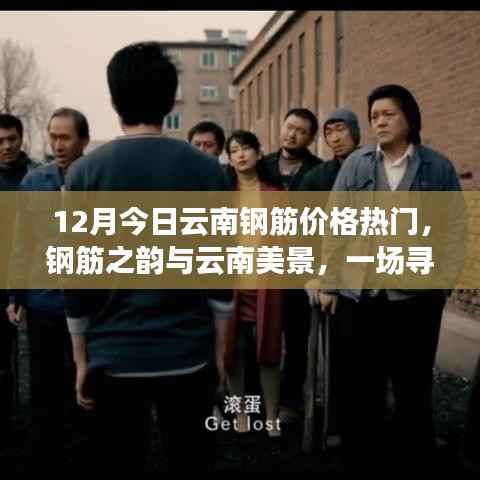 云南钢筋价格动态与美景探索，钢筋之韵与自然之旅的融合体验