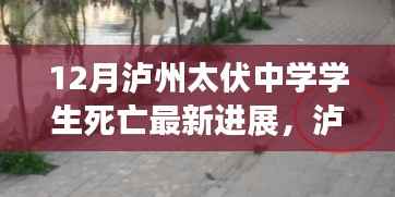 泸州太伏中学学生死亡事件最新进展,自然之旅的心灵复苏之路