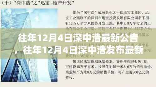 往年12月4日深中浩最新公告,往年12月4日深中浩发布最新公告,洞悉企业动态与未来展望