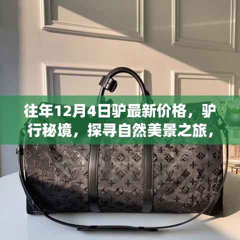 探寻自然秘境,驴的最新价格与心灵之旅的启示