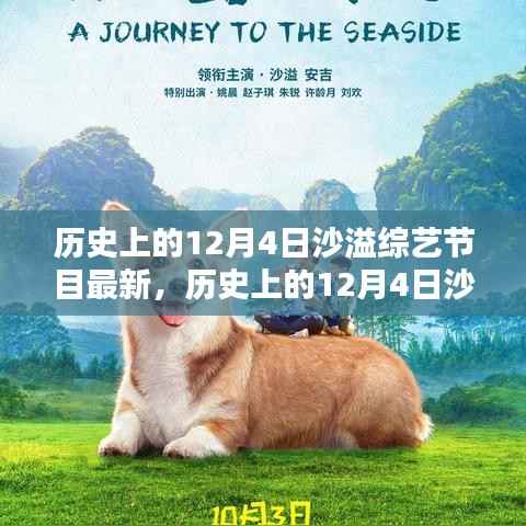 沙溢综艺节目最新动态及观看指南,历史上的12月4日回顾与前瞻