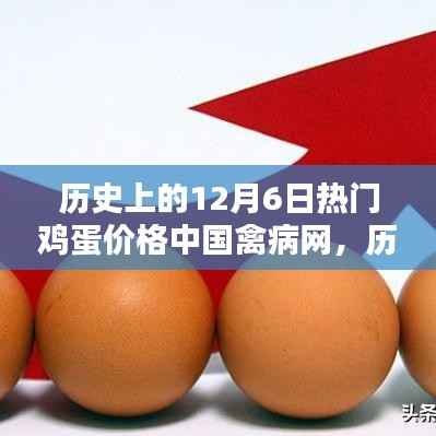 中国禽病网深度解析,历史上的鸡蛋价格走势与12月6日的热门鸡蛋价格回顾