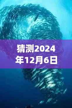 猜测2024年12月6日最新欧美限制电影,探索自然秘境,一场远离尘嚣的电影之旅,寻找内心的平和与喜悦