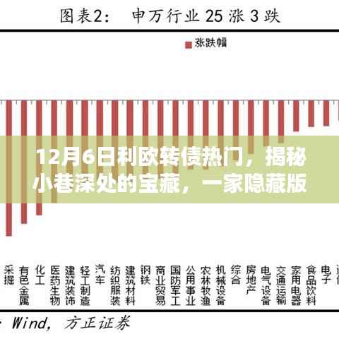 揭秘隐藏版宝藏小店,利欧转债热门特色店探秘(12月6日热门话题)