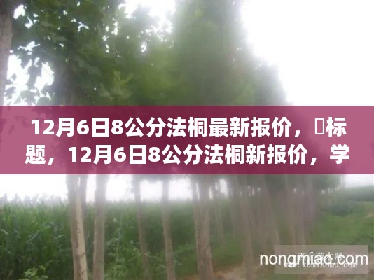 12月6日8公分法桐最新报价,标题,12月6日8公分法桐新报价,学习变化,播种自信与成就的种子,在成长的路上绽放光彩