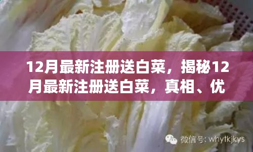 揭秘12月最新注册送白菜活动,真相、优势与注意事项全解析