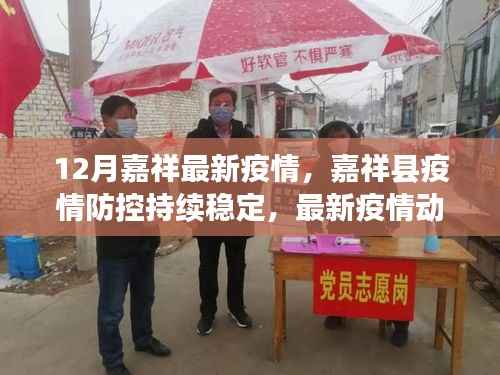 嘉祥县疫情防控持续稳定,最新疫情动态解读与应对举措