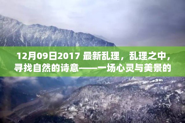 探寻自然诗意,心灵与美景的十二月之旅