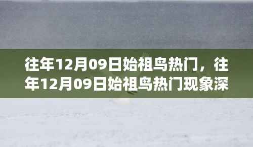 往年12月09日始祖鸟热潮,时尚潮流的深度解析与争议观察