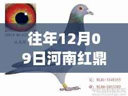 一往无前 第2页