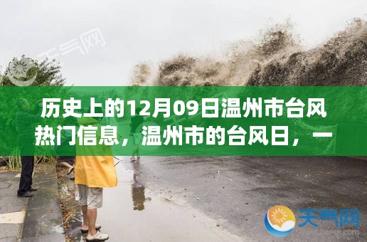 温馨风中奇遇,温州市台风日的历史回顾与热门信息