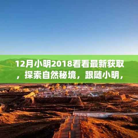 跟随小明探索自然秘境,十二月心灵洗涤之旅,寻找内心的平静