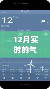 臼灶生蛙 第2页