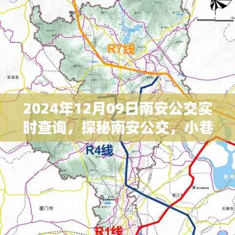 探秘南安公交实时查询系统，深入小巷的公交追踪秘境（2024年12月09日）