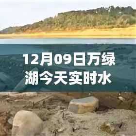 揭秘万绿湖实时水位变化,最新水位图表解析(12月09日)