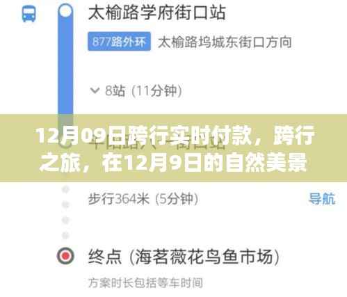 12月9日跨行实时付款之旅,自然美景中的心灵宁静与喜悦探寻
