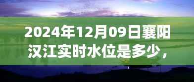 襄阳汉江水位变迁录,岁月之潮涌于2024年12月09日的实时水位观察