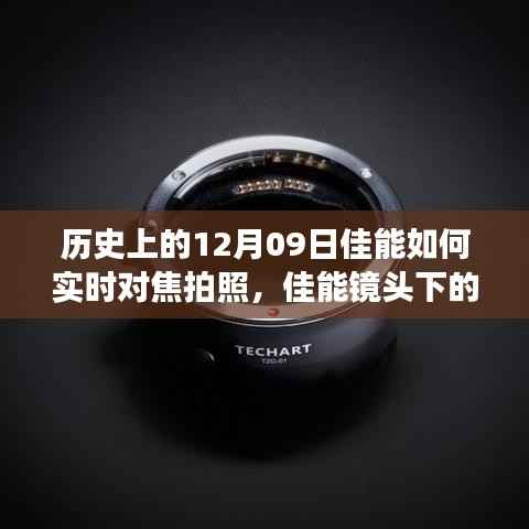 佳能镜头下的温馨时光,十二月九日友谊与陪伴的故事,实时对焦拍照见证历史时刻