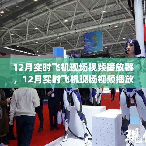 观看12月实时飞机现场视频,沉浸式体验飞行的最佳方式