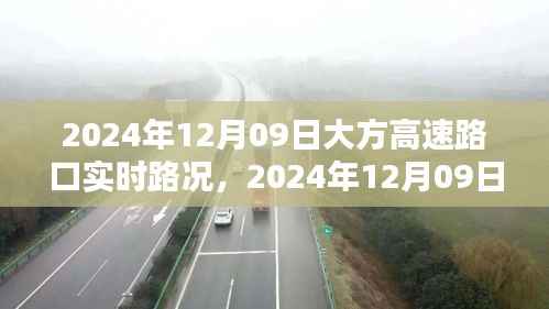 大方高速路口实时路况,流畅通行与智能管理的完美结合