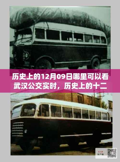 历史上的十二月九日武汉公交实时信息的可查性与争议,深度解析当日实时公交查询渠道及争议焦点